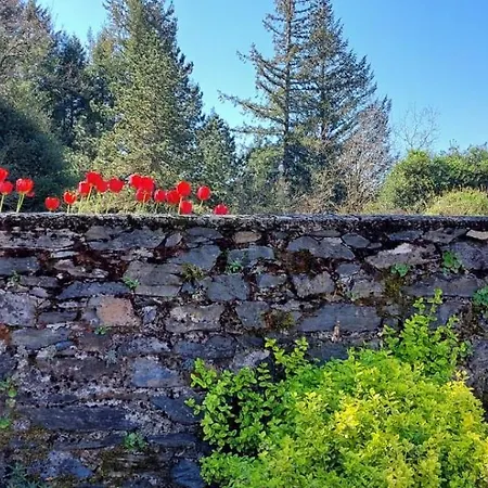 Les Pierres De Fonfage 别墅