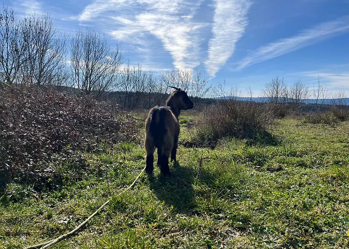 فيلة Les Pierres De Fonfage *